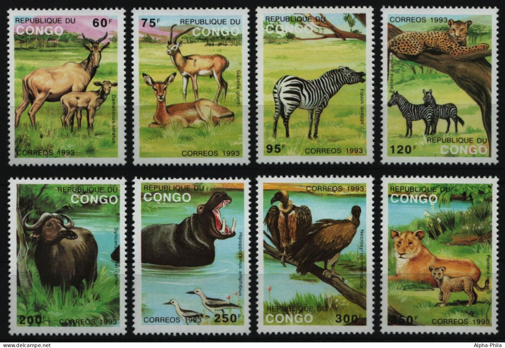 Kongo-Brazzaville 1993 - Mi-Nr. 1363-1370 I ** - MNH - Wildtiere / Wild Animals - Mint/hinged