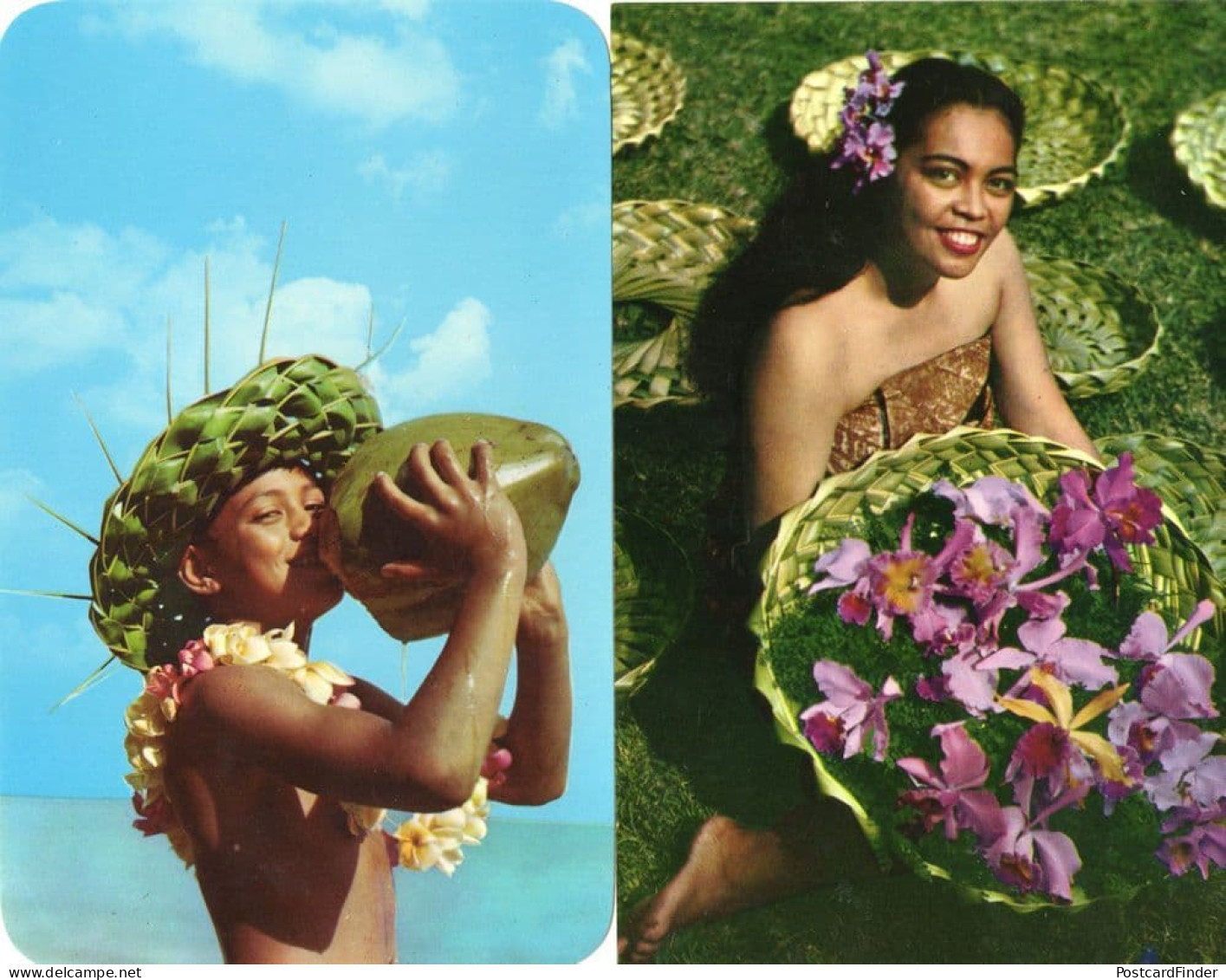 Milk Bar Hawaiian Style Milk Green Coconut Native Honolulu 2x Hawaii Postcard - Autres & Non Classés