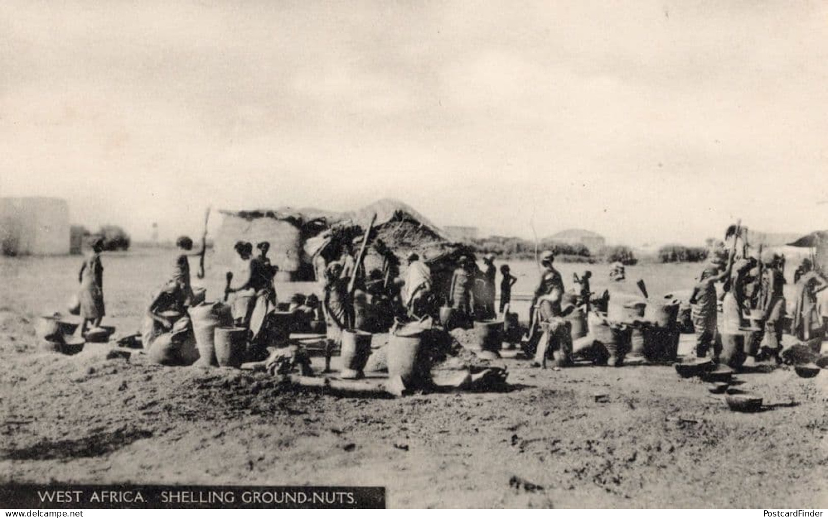 West African Shelling Ground Nuts Antique Postcard - Non Classés