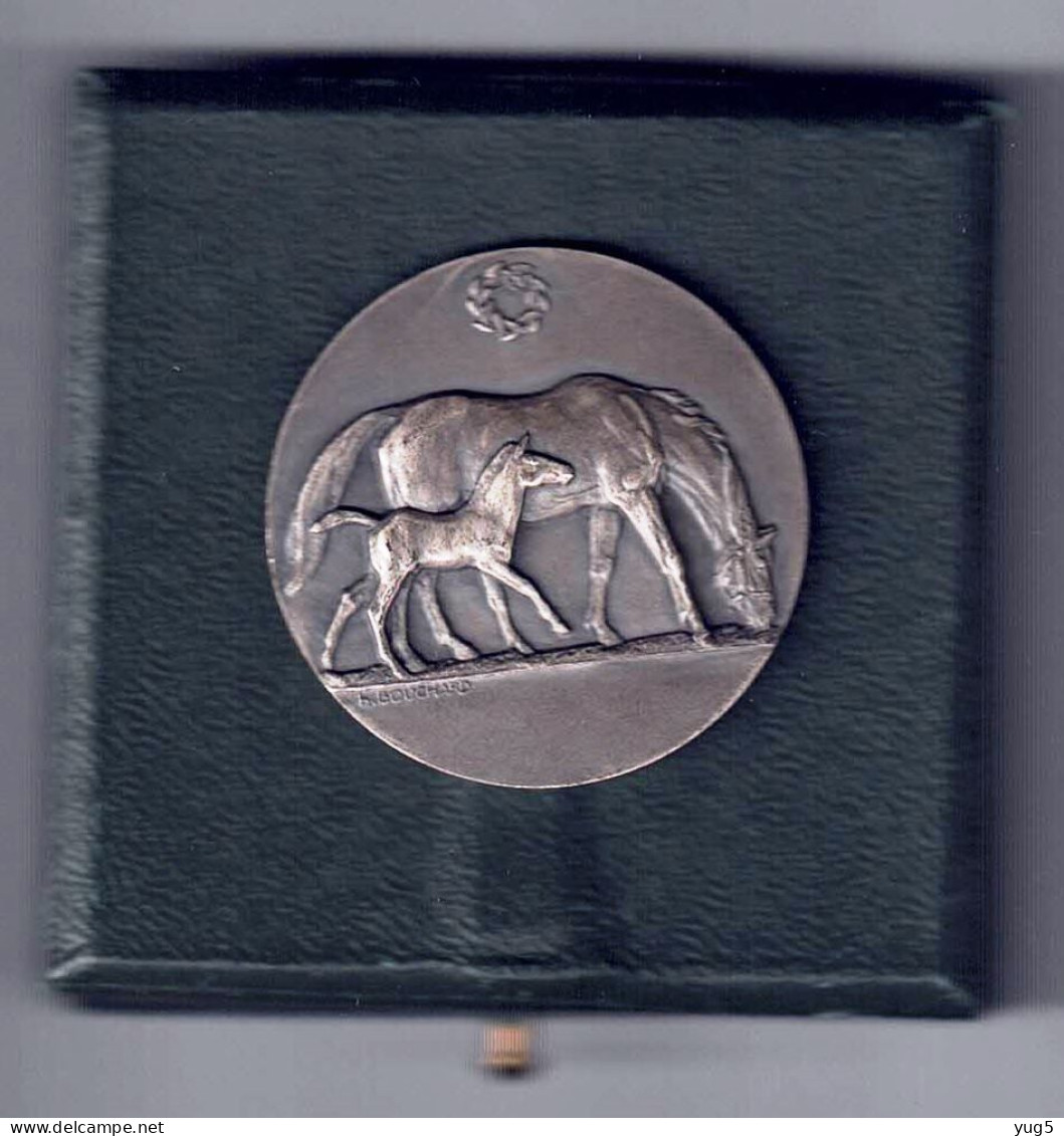 Médaille Bouchard, CHEVAUX, Concours Hippique PARIS 1937, Bronze Argenté - Autres & Non Classés