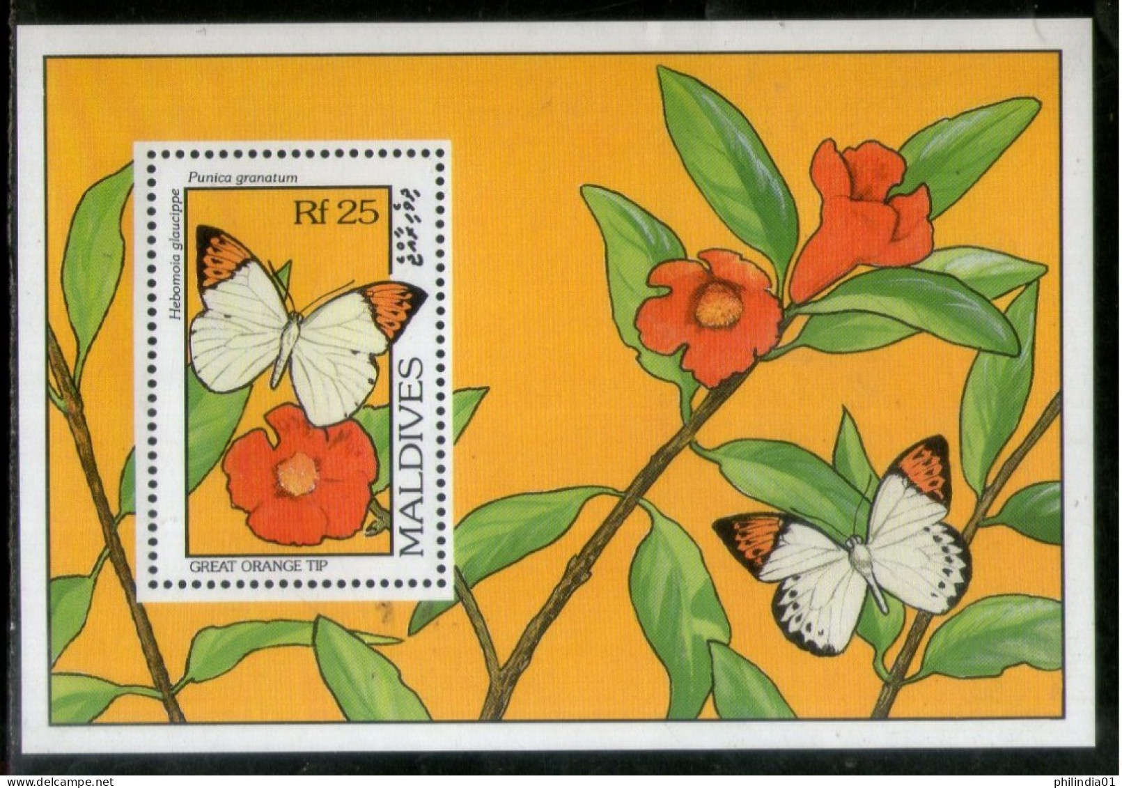 Maldives 1993 Great Orange Tip Butterflies & Flowers Moth Insect Sc 1906 M/s MNH # 5843 - Butterflies
