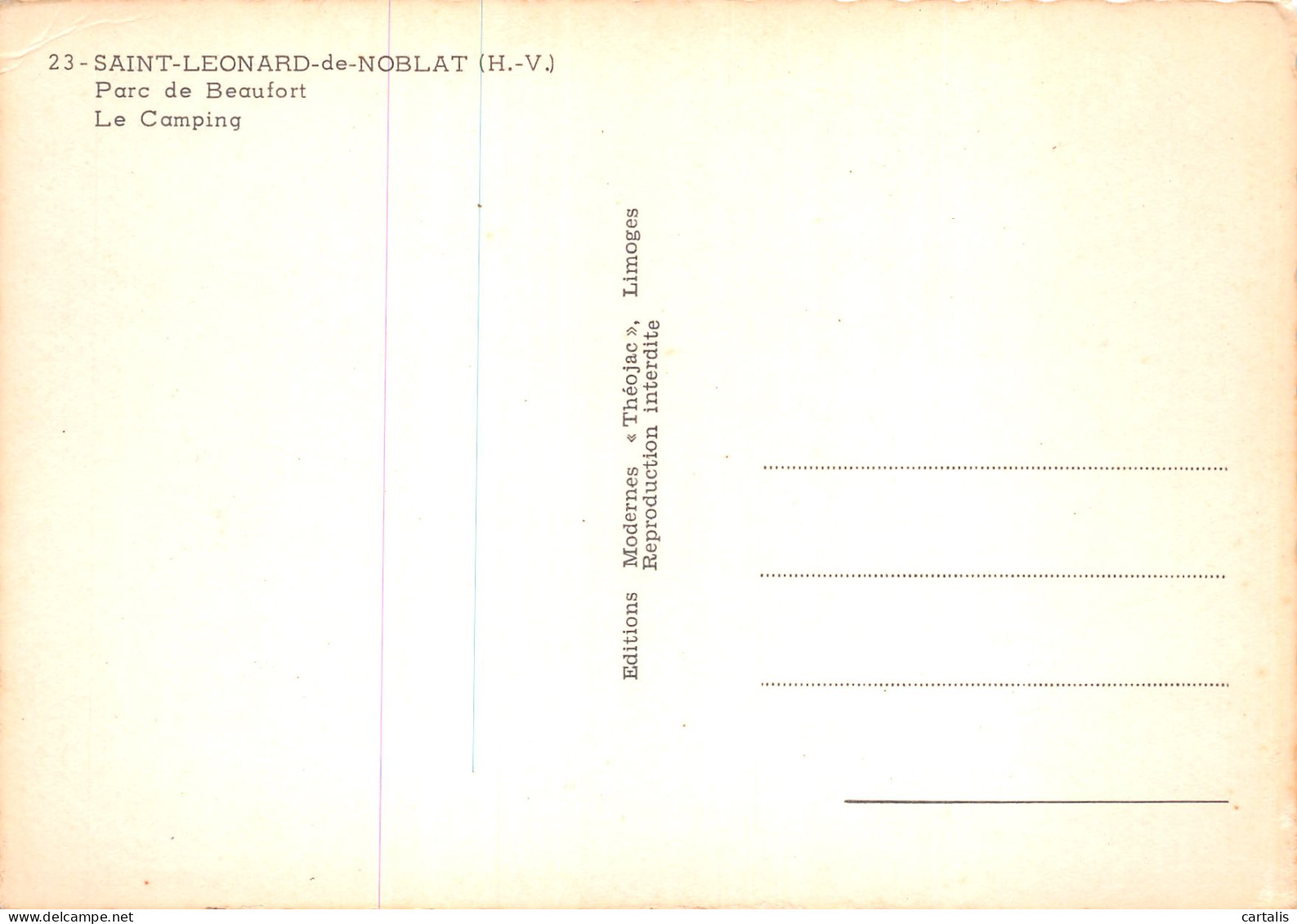87-SAINT LEONARD DE NOBLAT-N°C4081-D/0219 - Saint Leonard De Noblat