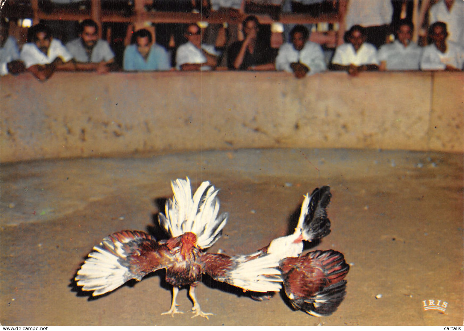 972-MARTINIQUE-N°C4081-C/0123 - Autres & Non Classés