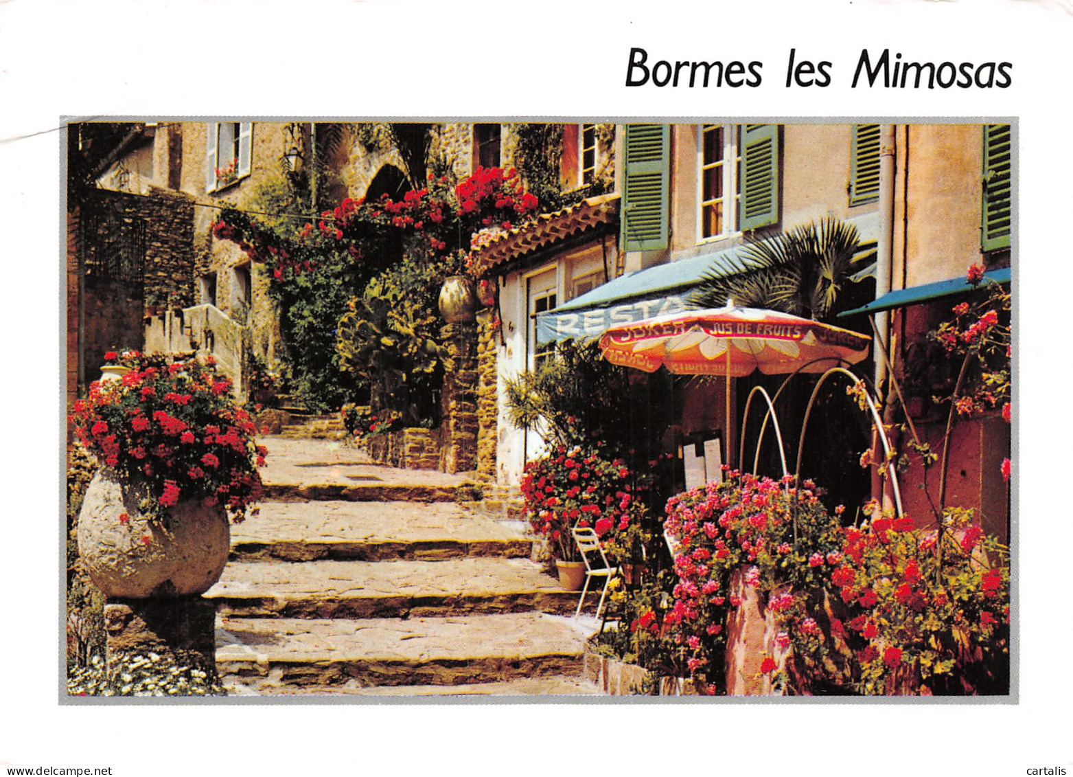 83-BORMES LES MIMOSAS-N°C4082-A/0259 - Bormes-les-Mimosas