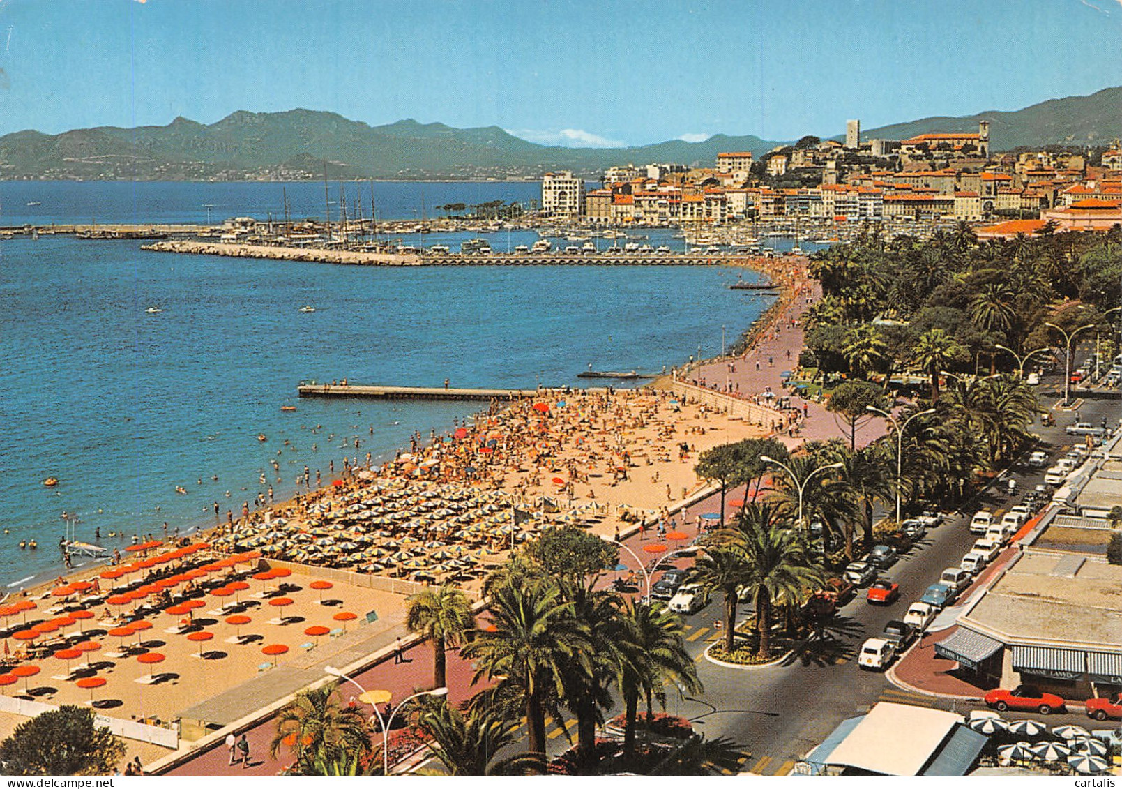 06-CANNES-N°C4082-A/0025 - Cannes