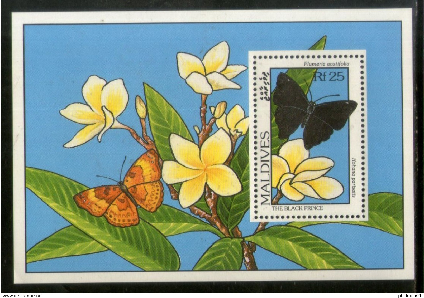 Maldives 1993 Black Prince Butterflies & Flowers Moth Insect Sc 1907 M/s MNH # 5293 - Butterflies