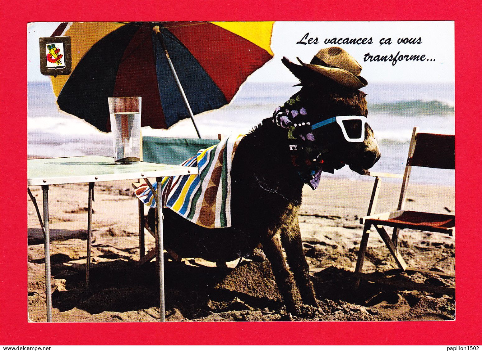 Animaux-14P Les Vacances ça Vous Transforme, Un âne Avec Chapeau, Lunettes De Soleil, BE - Esel