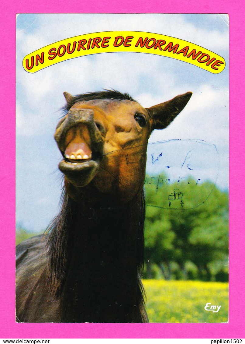 Animaux-58PH13 Cheval ""un Sourire De Normandie"" - Horses