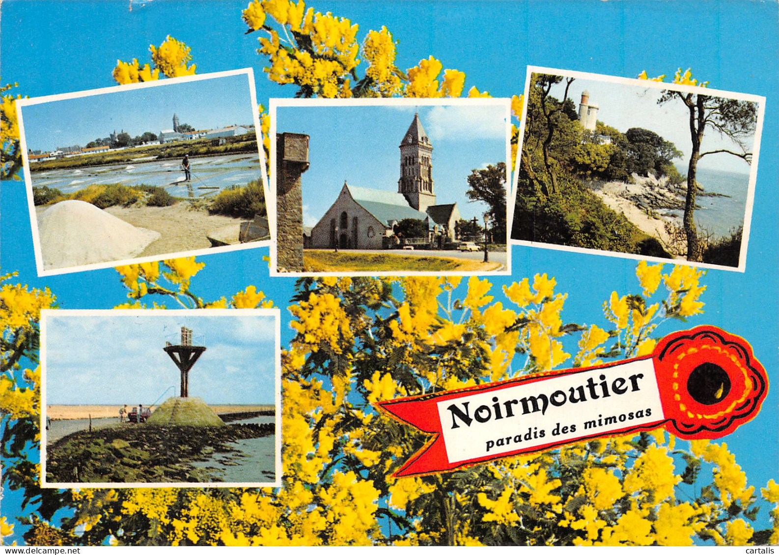 85-NOIRMOUTIER-N°C4082-C/0157 - Noirmoutier
