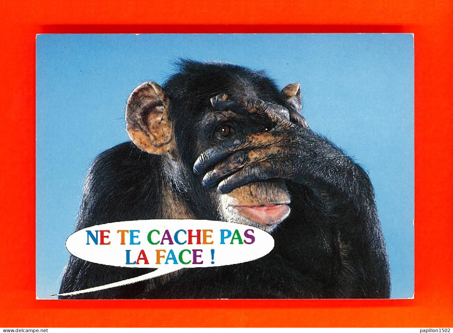 Animaux-89PH5 Singe Chimpanzé ""ne Te Cache Pas La Face"", BE - Monkeys