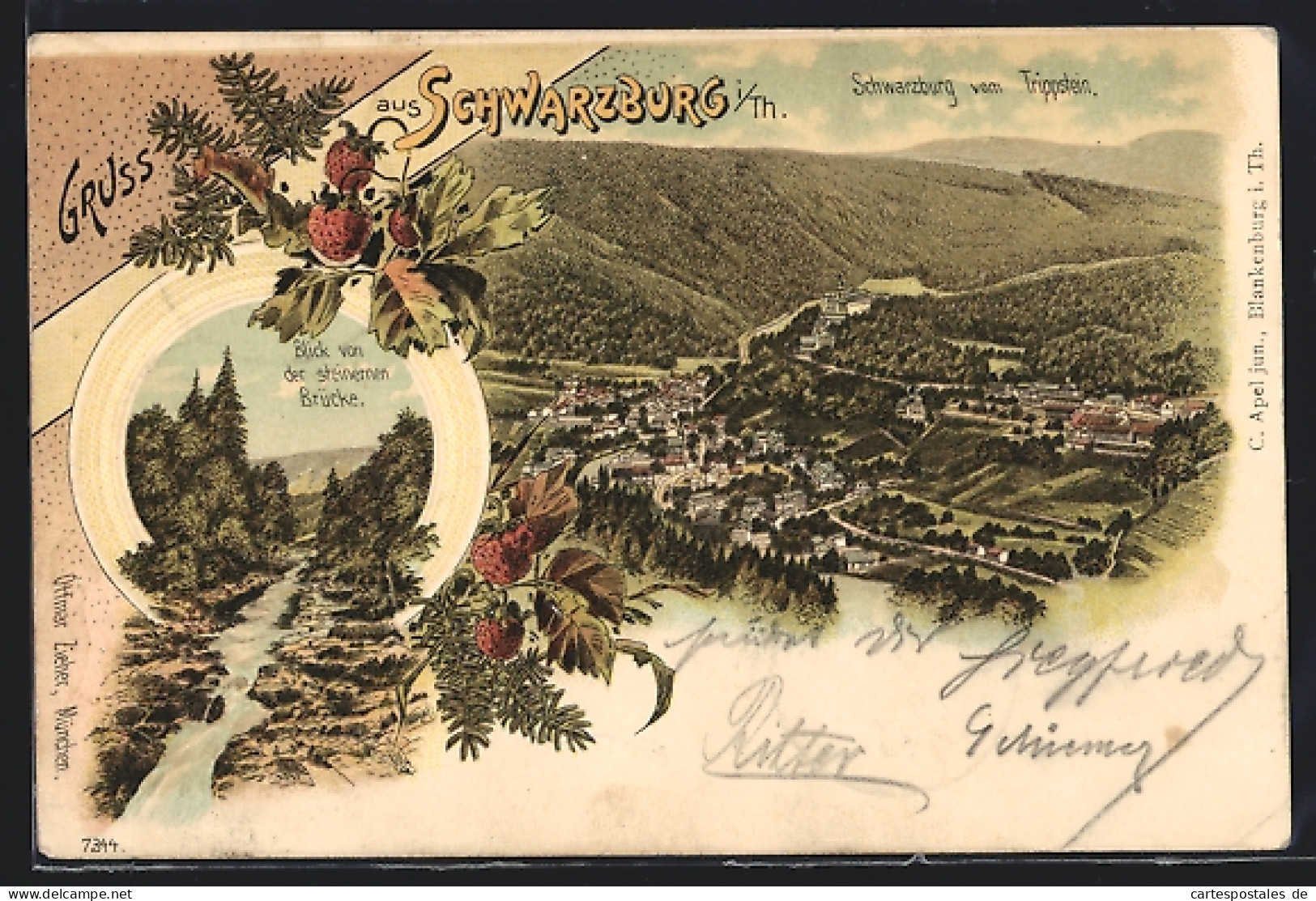 Lithographie Schwarzburg I. Th., Ortsansicht Vom Trippstein Aus, Blick Von Der Steinernen Brücke  - Sonstige & Ohne Zuordnung