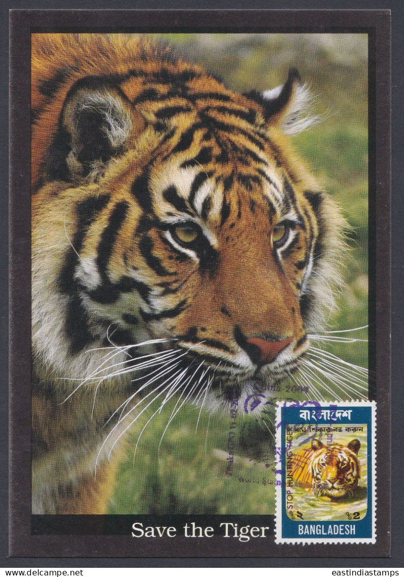 Bangladesh 2009 Stamp Exhibition, Tiger, Tigers, Wildlife, Wild Life, Animal, Animal, Postcard - Bangladesh