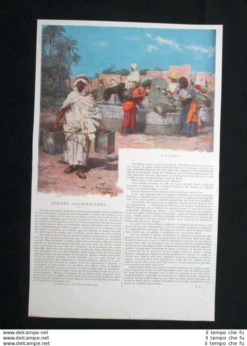Scene Algerine - Alla Fontana Stampa Del 1902 - Otros & Sin Clasificación