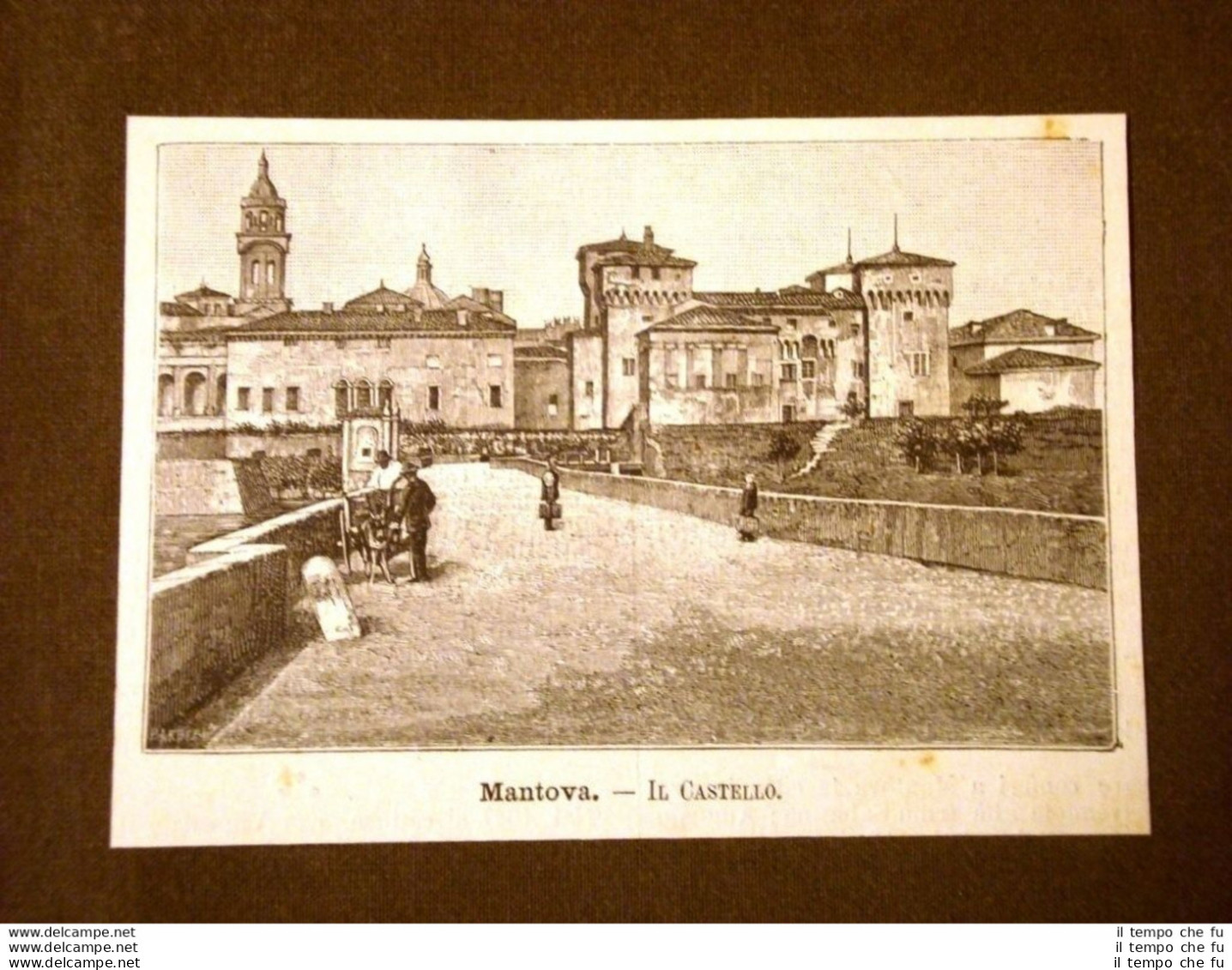 Incisione Del 1891 Mantova, Il Castello - Lombardia - Avant 1900