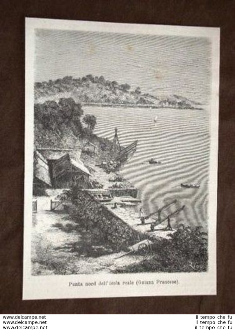 Punta Nord Dell'Isola Reale Guiana Francese - Ante 1900