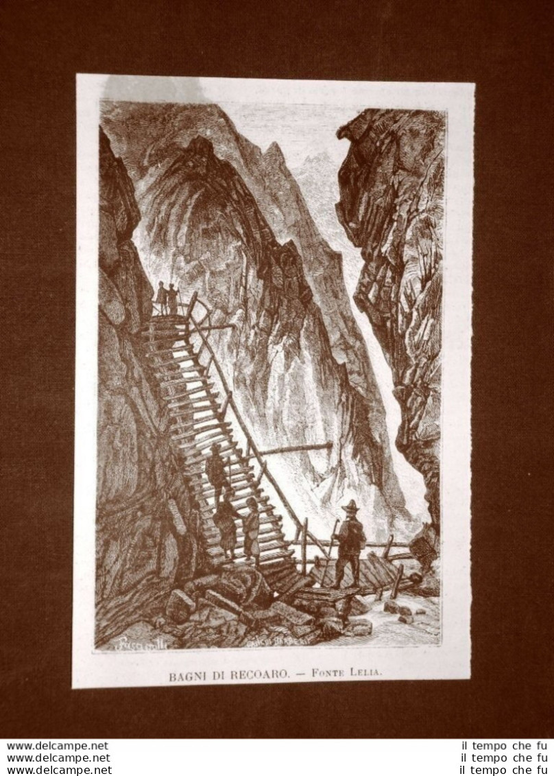 Bagni Di Recoaro Nel 1876 La Fonte Lelia - Avant 1900