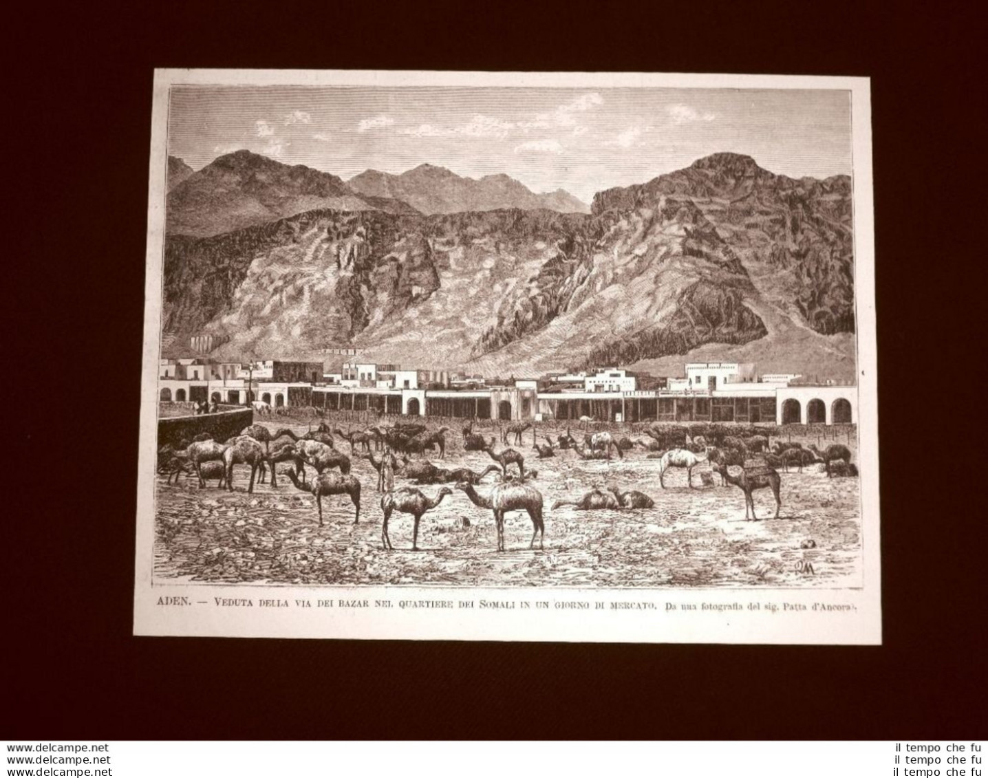 Spedizione In Africa Del Capitano Martini E Cecchi Nel 1877 Aden Bazar Mercato - Avant 1900