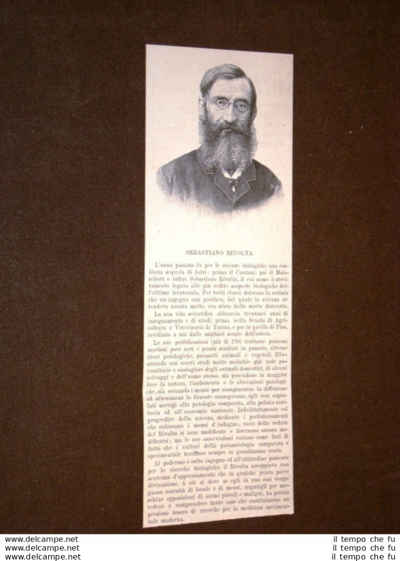 Veterinario Sebastiano Rivolta Di Casalbagliano - Vor 1900