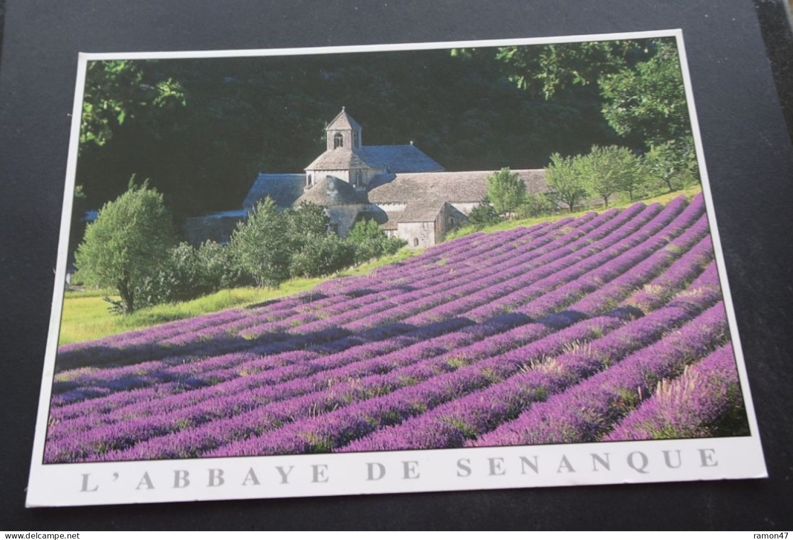 Gordes - L'Abbaye De Senanque - Sur Le Plateau De Vaucluse - Editions D'Art JACK, Louannec - Kerken En Kloosters