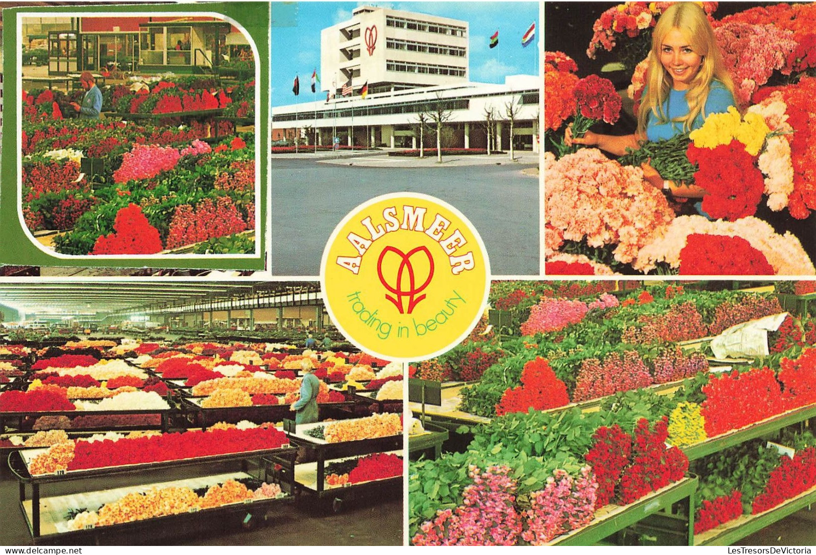 PAYS-BAS - Aalsmeer - Cutflower Section United Flower Markets Aalsmeer - Multi-vues - Fleurs - Animé - Carte Postale - Aalsmeer