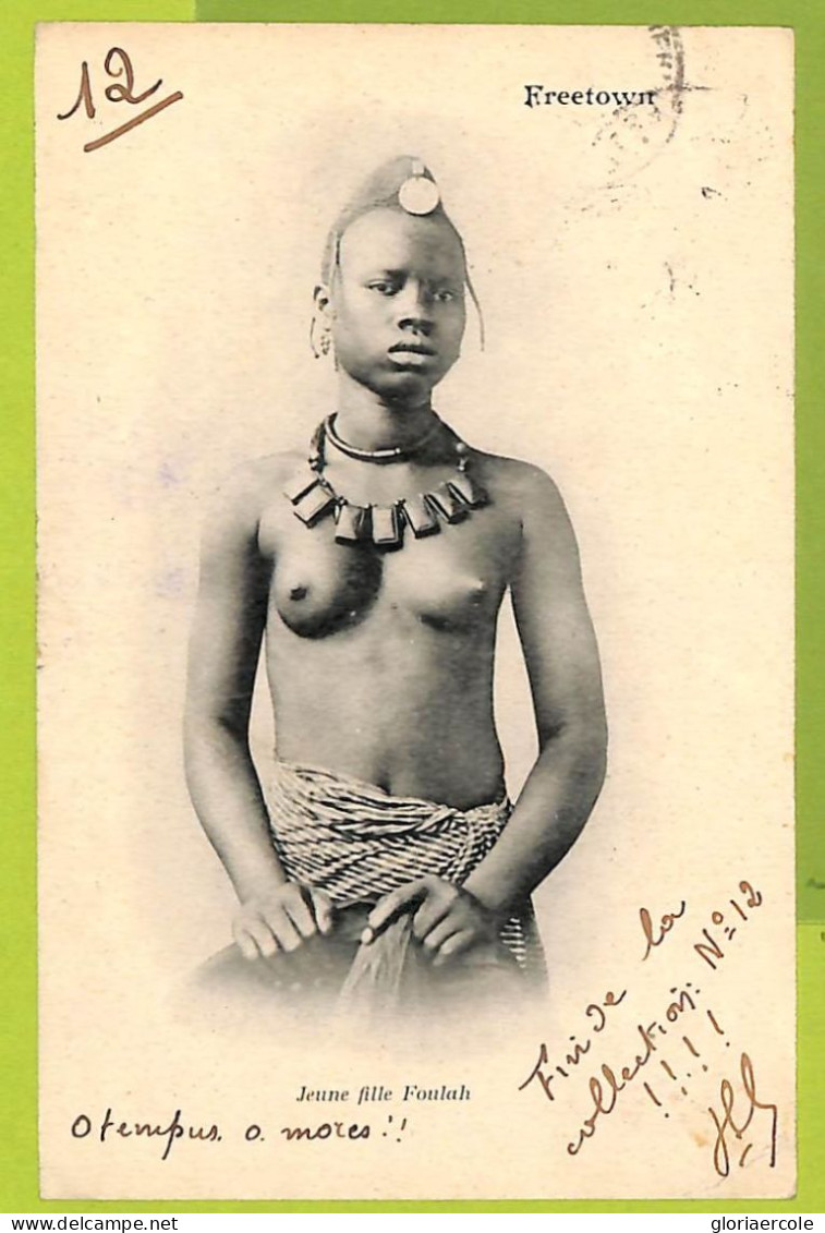 39949 - SIERRA LEONE - Postal History - Ethnic POSTCARD To FRANCE 1901 - Sierra Leona (...-1960)