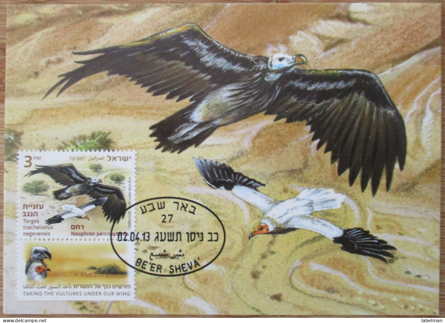 ISRAEL 2013 VULTURE GYPAETUS BARBATUS PALPHOT MAXIMUM CARD STAMP FIRST DAY OF ISSUE POSTCARD CARTE POSTALE POSTKARTE - Cartes-maximum
