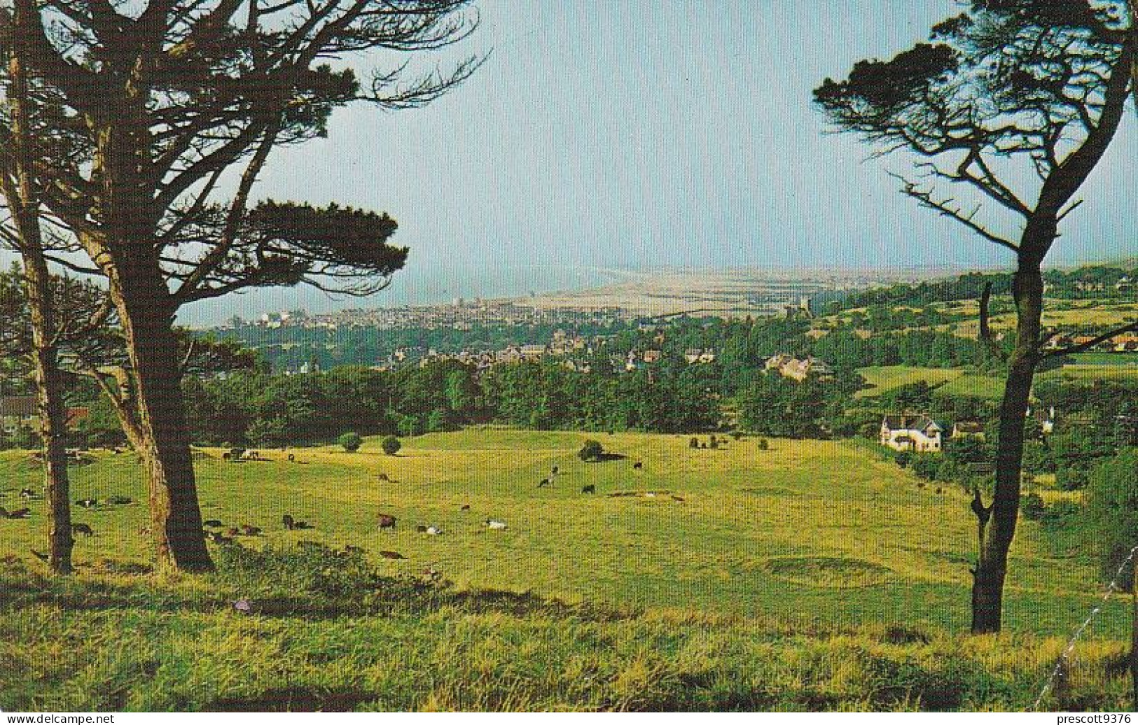 Hythe & Romney Marshes - Kent, UK   -   Unused Postcard   - K2 - Autres & Non Classés