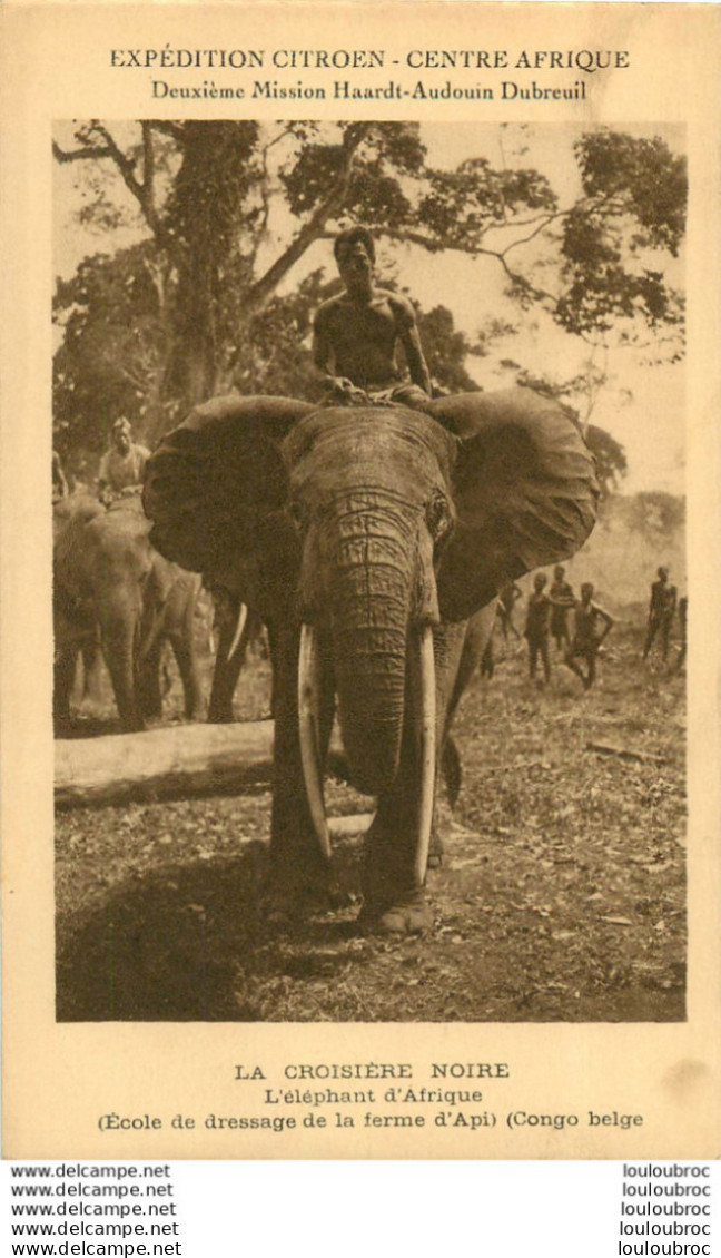 EXPEDITION CITROEN CENTRAFRIQUE CROISIERE NOIRE ELEPHANT D'AFRIQUE - Other & Unclassified