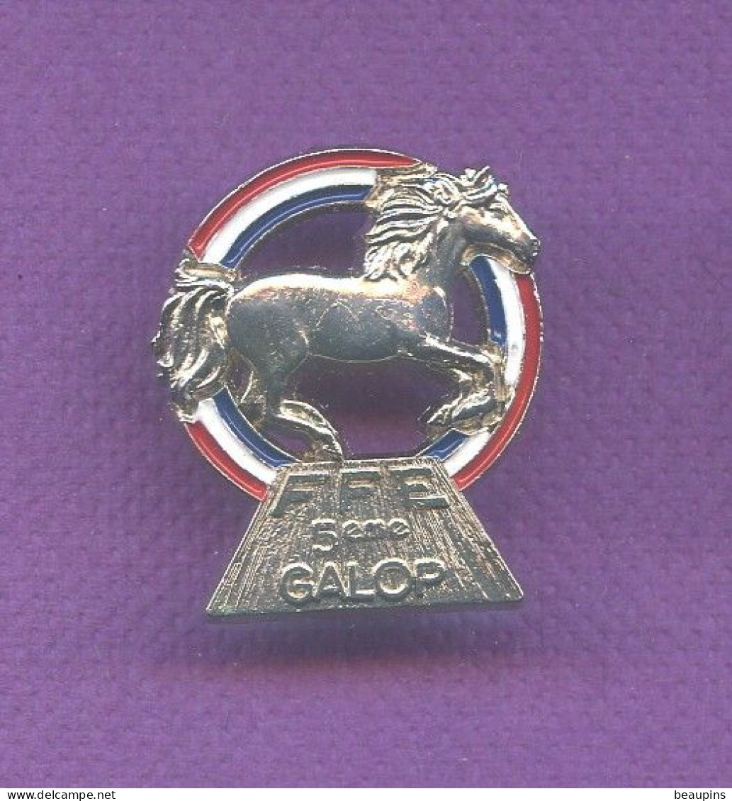 Rare Pins Ffe  Federation Francaise Equitation  5 éme Galop   T131 - Other & Unclassified