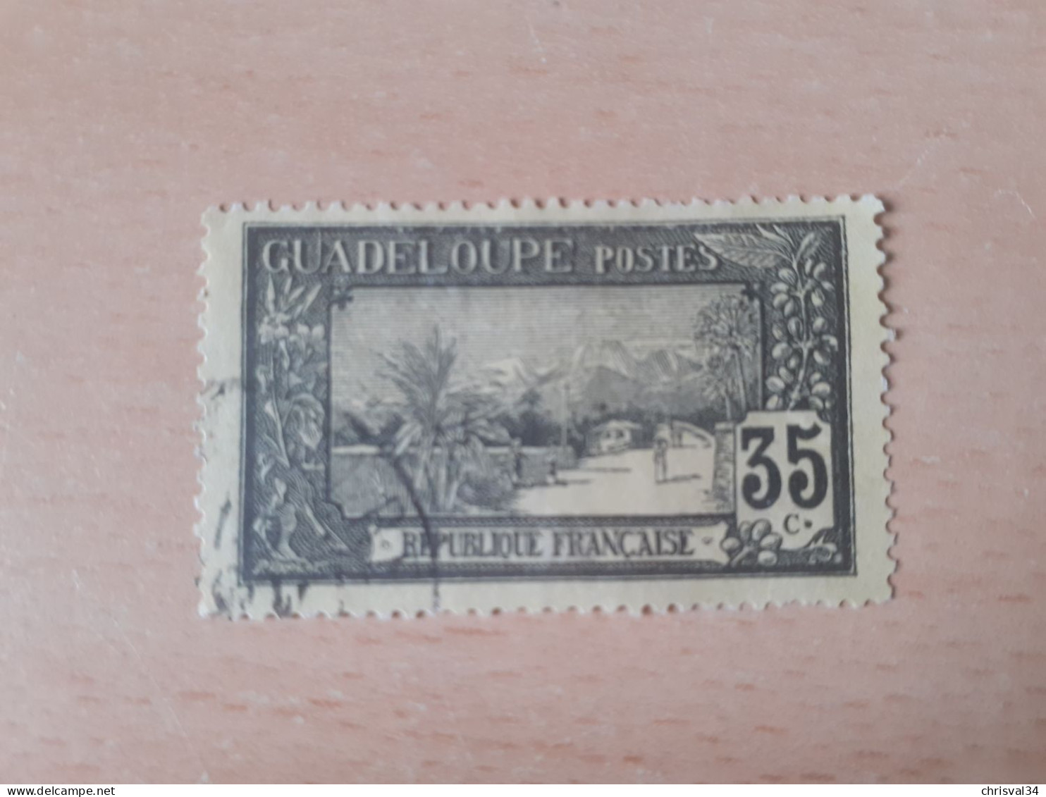 TIMBRE   GUADELOUPE       N  64     COTE  1,00   EUROS  OBLITERE - Used Stamps