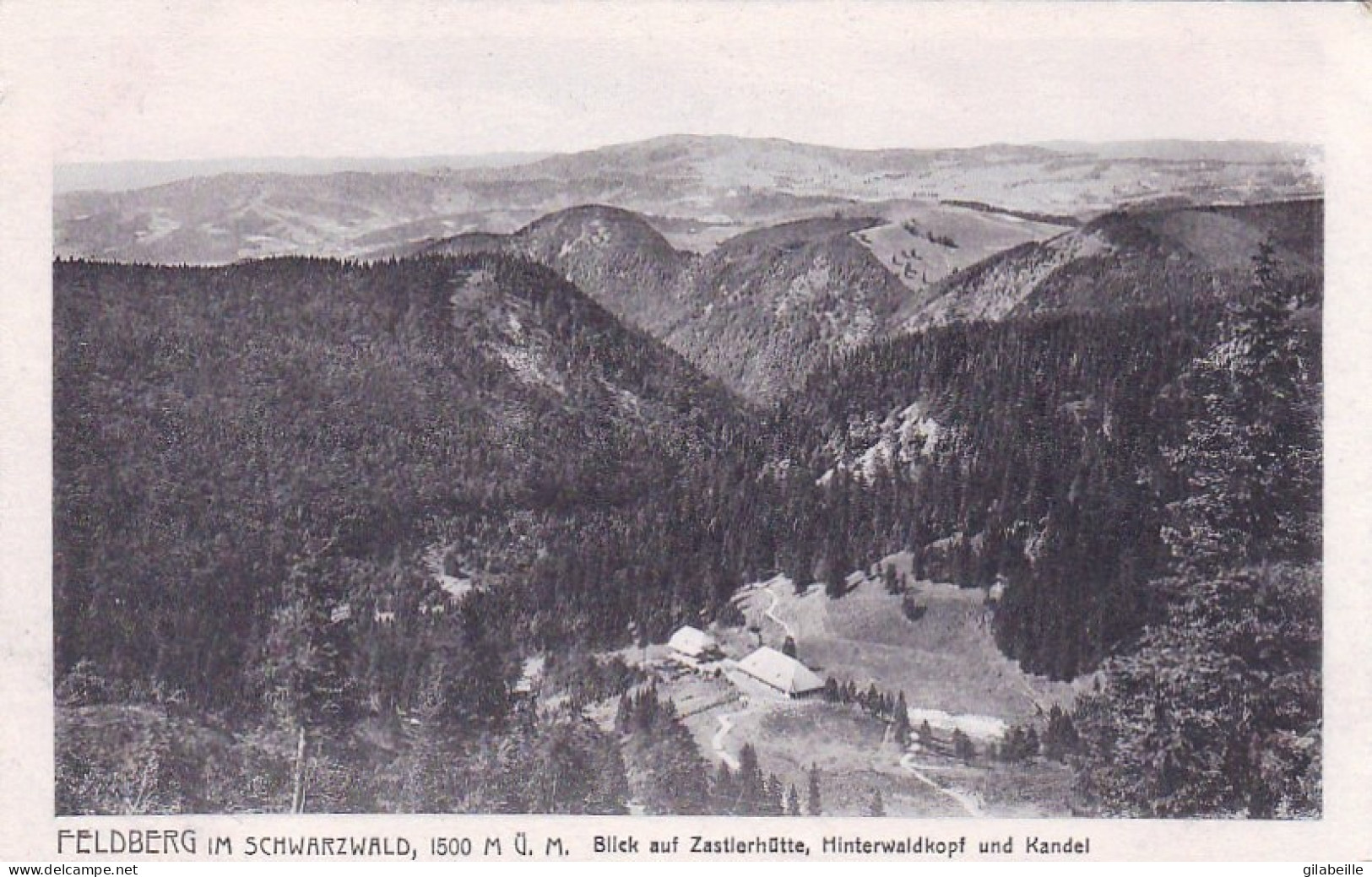  FELDBERG Im Schwarzwald - Blick Auf Hinterwaldkopf Und Kandel - Feldberg