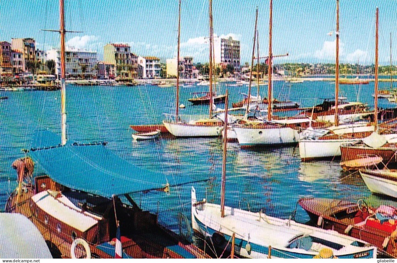 06 -  GOLFE JUAN ( Vallauris ) - Le Port De Plaisance - Vallauris