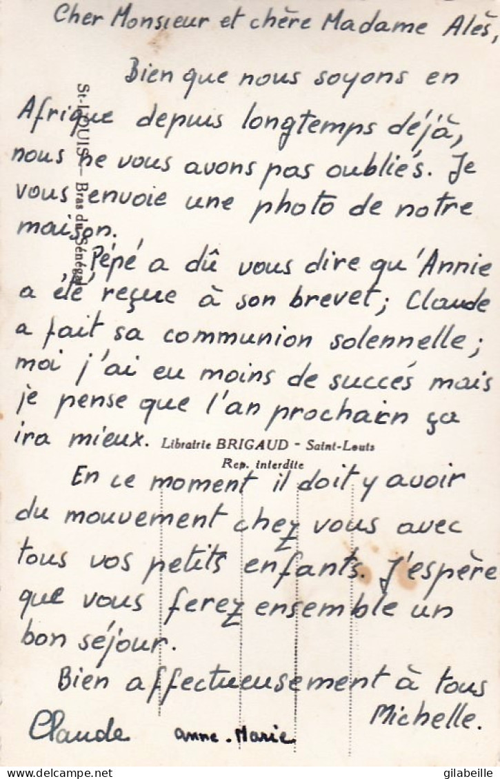 Sénégal - SAINT LOUIS - Bras Du Senegal - Non Classificati