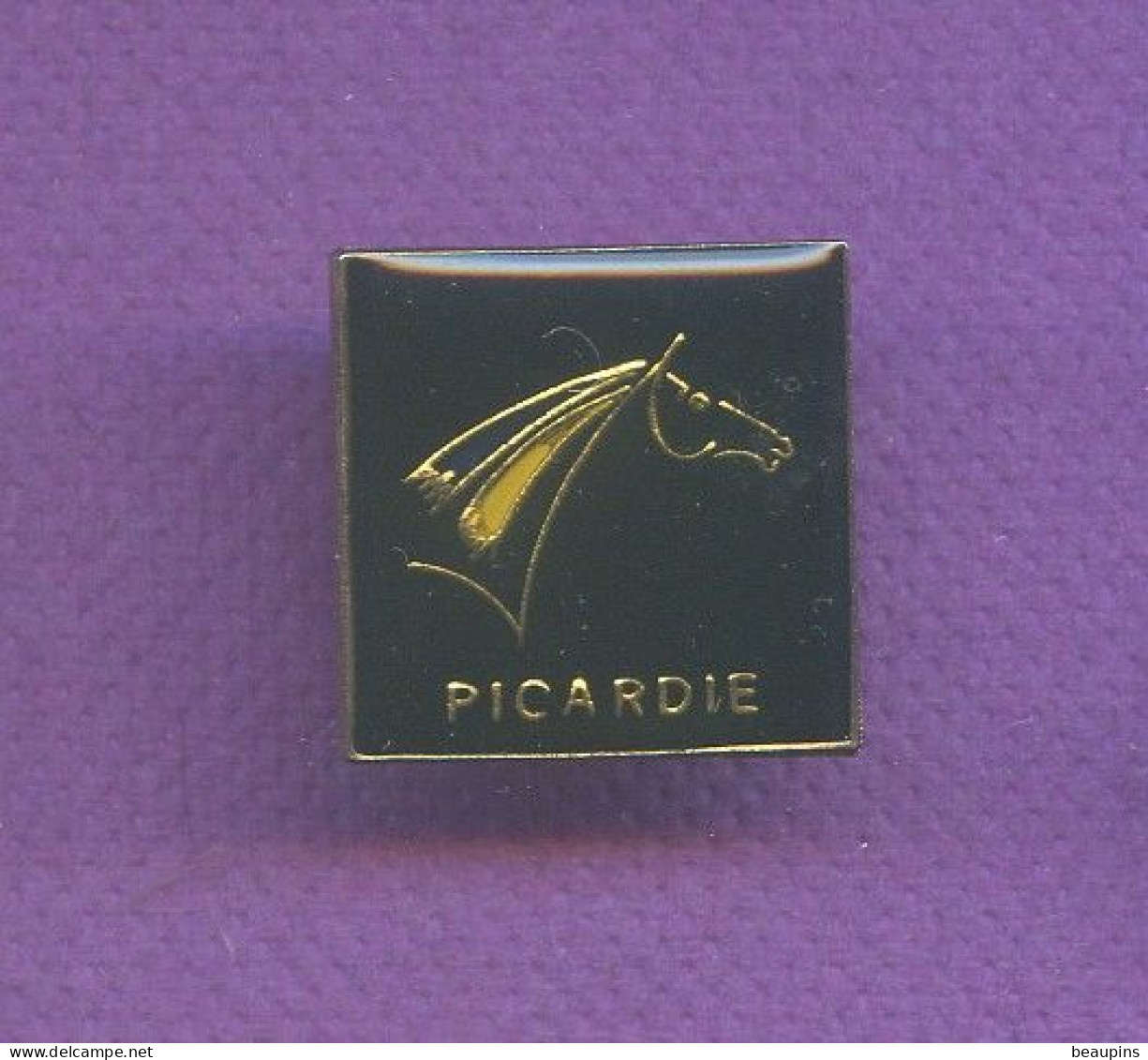 Rare Pins Cheval Picardie  Logo  Ffe  Federation Francaise Equitation    T132 - Autres & Non Classés