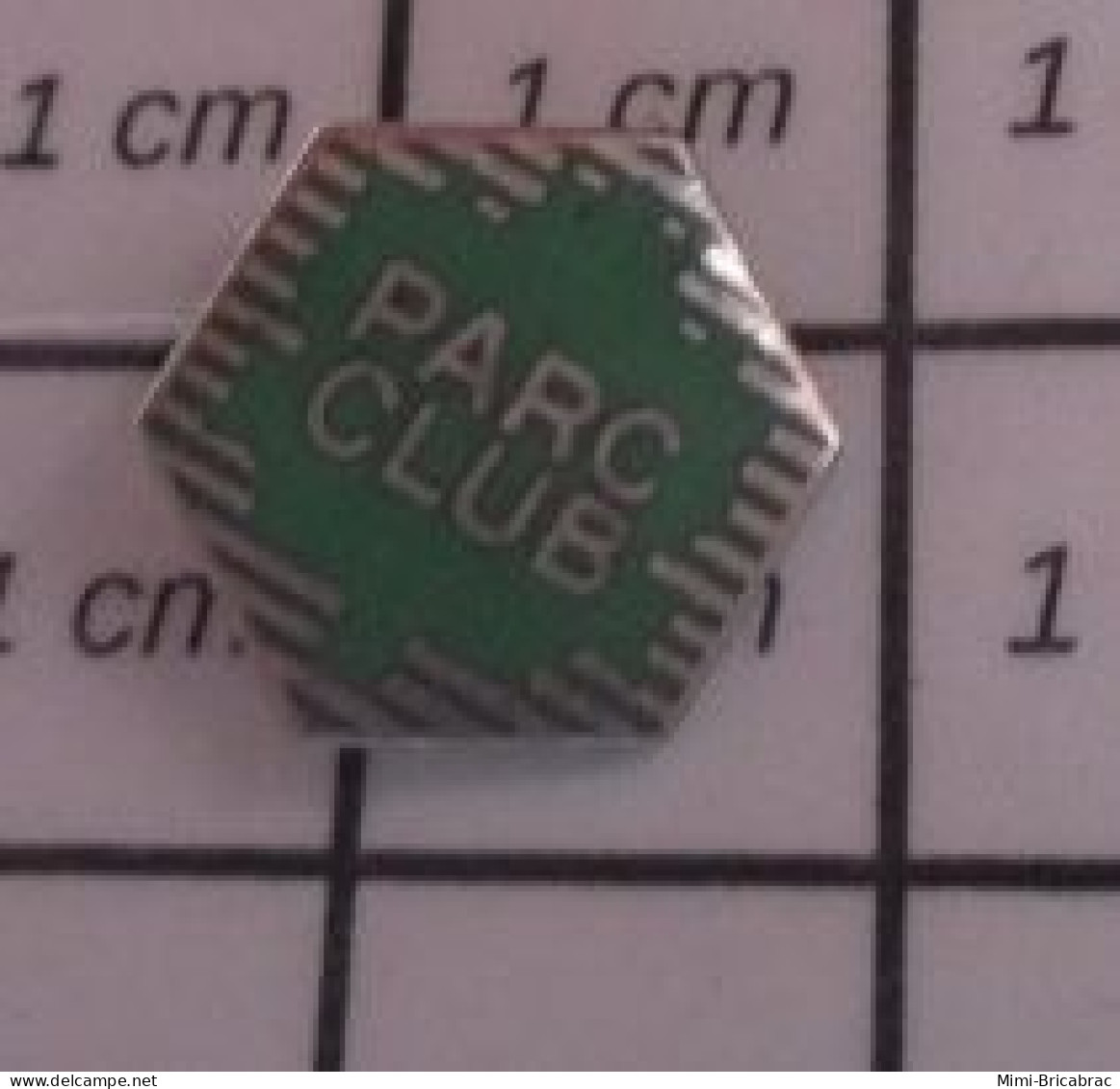 818b Pin's Pins / Beau Et Rare / MARQUES / PARC CLUB HEXAGONE Mini Pin's - Markennamen