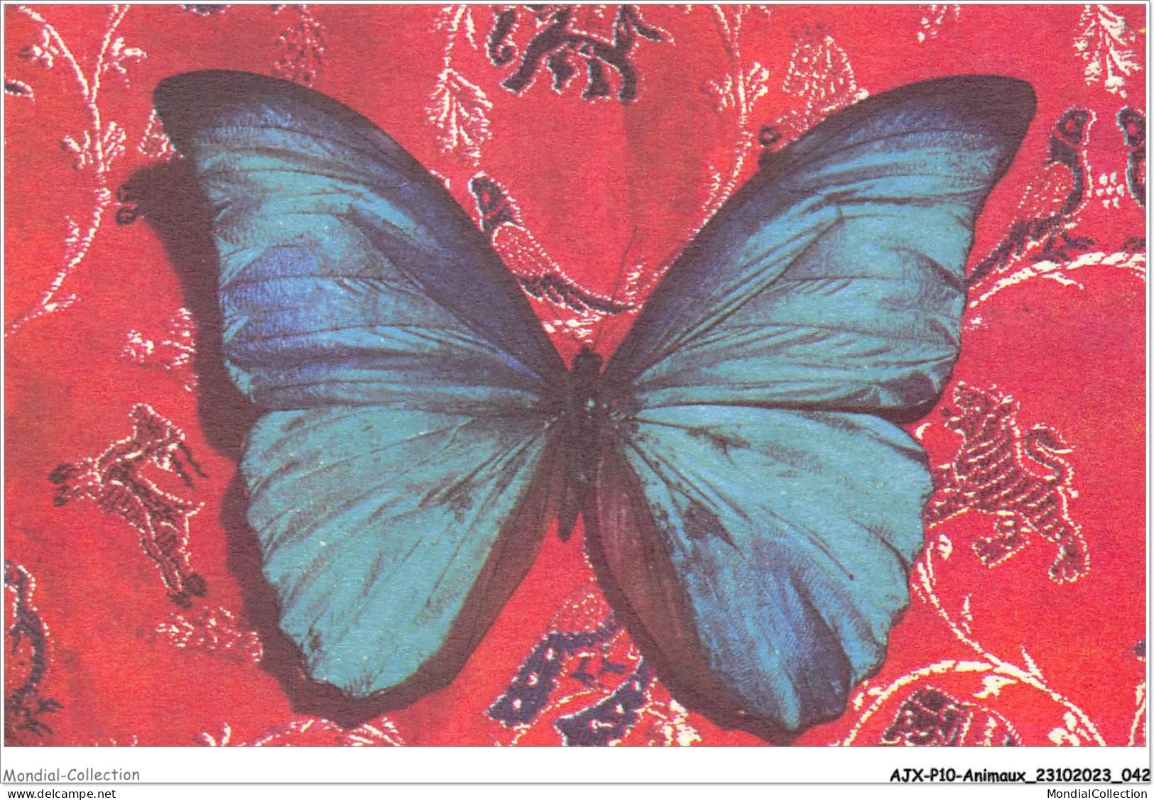 AJXP10-0995 - ANIMAUX - Papillon Sur Fond Rouge - Papillons