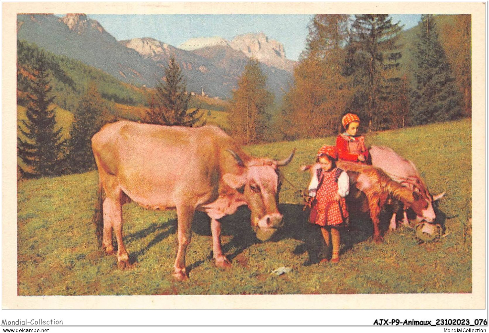 AJXP9-0926 - ANIMAUX - Taureau - Bull