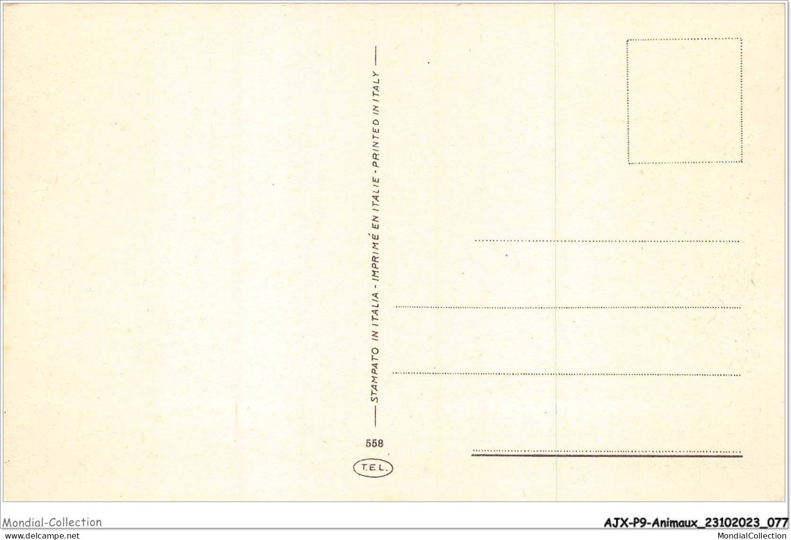 AJXP9-0926 - ANIMAUX - Taureau - Stieren