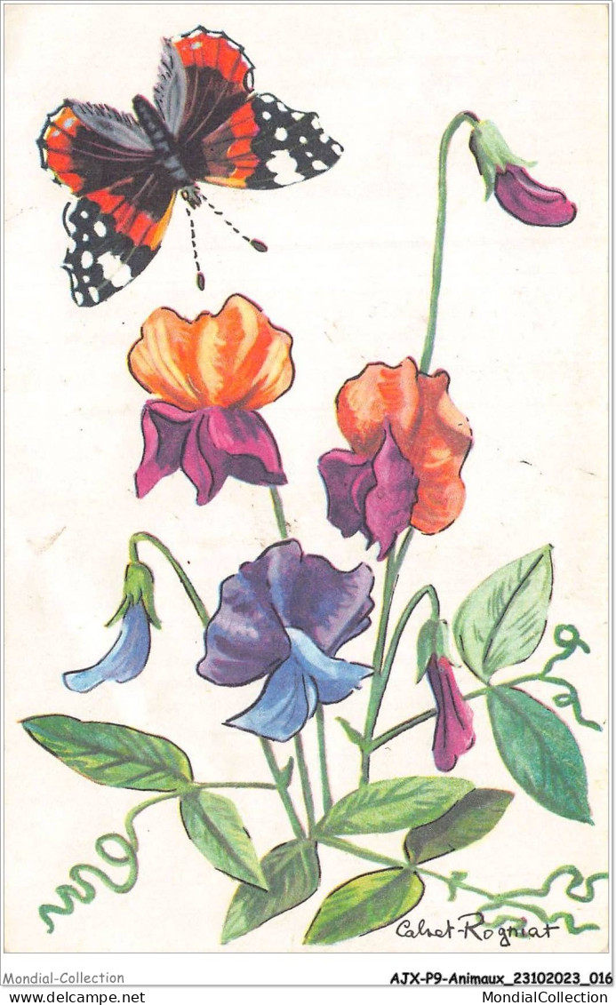 AJXP9-0896 - ANIMAUX - POIS DE SENTEUR ET VULCAIN - Schmetterlinge