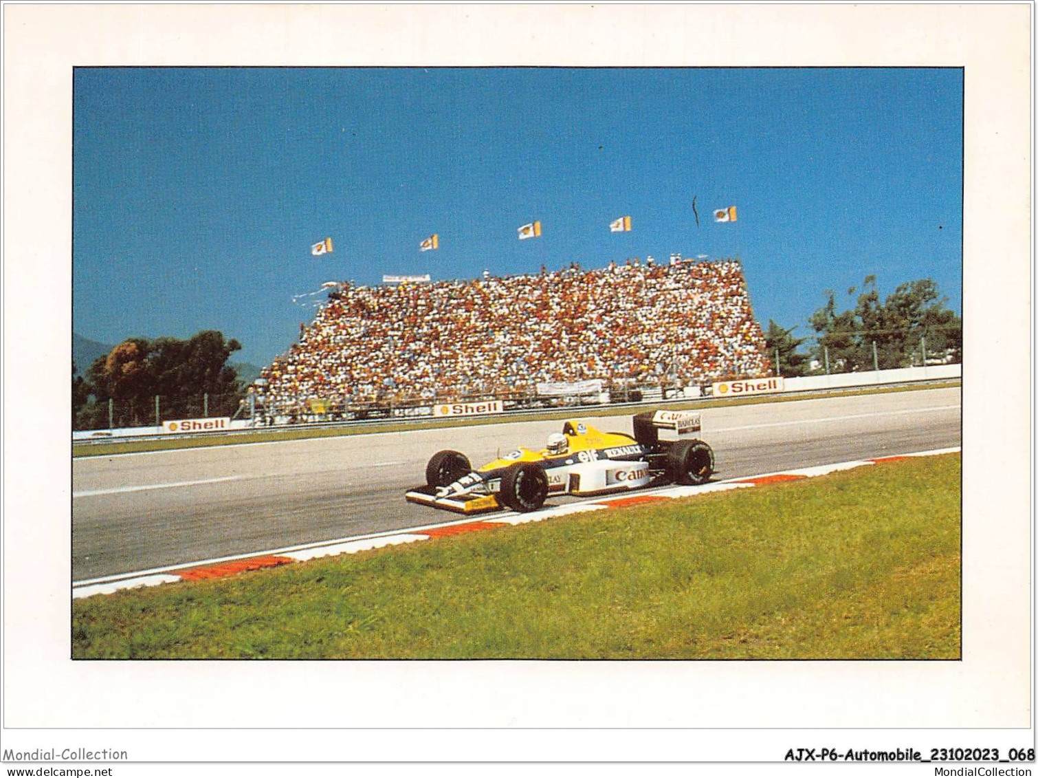 AJXP6-0608 - AUTOMOBILE - CIRCUIT DE Rio - Mars 1989 - Williams-Renaul - Vice-championne Du Monde Des Constructeurs F1 - Autobús & Autocar