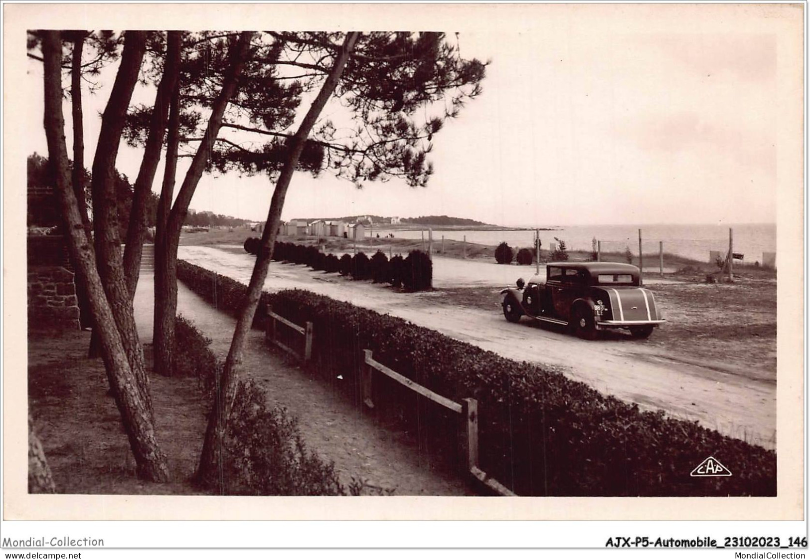 AJXP5-0552 - AUTOMOBILE - CARNAC-PLAGE - La Plage A Travers Les Sapins - Busse & Reisebusse