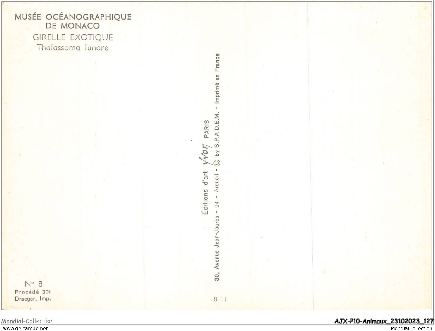 AJXP10-1037 - ANIMAUX - MUSEE OCEANOGRAPHIQUE DE MONACO - Girelle Exotique - Thalassoma Lunare - Poissons Et Crustacés