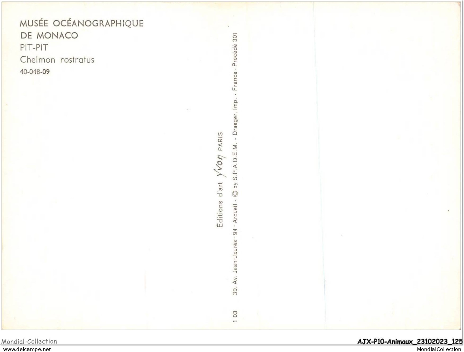 AJXP10-1036 - ANIMAUX - MUSEE OCEANOGRAPHIQUE DE MONACO - PIT-PIT - Chelmon Rostratus - Pescados Y Crustáceos