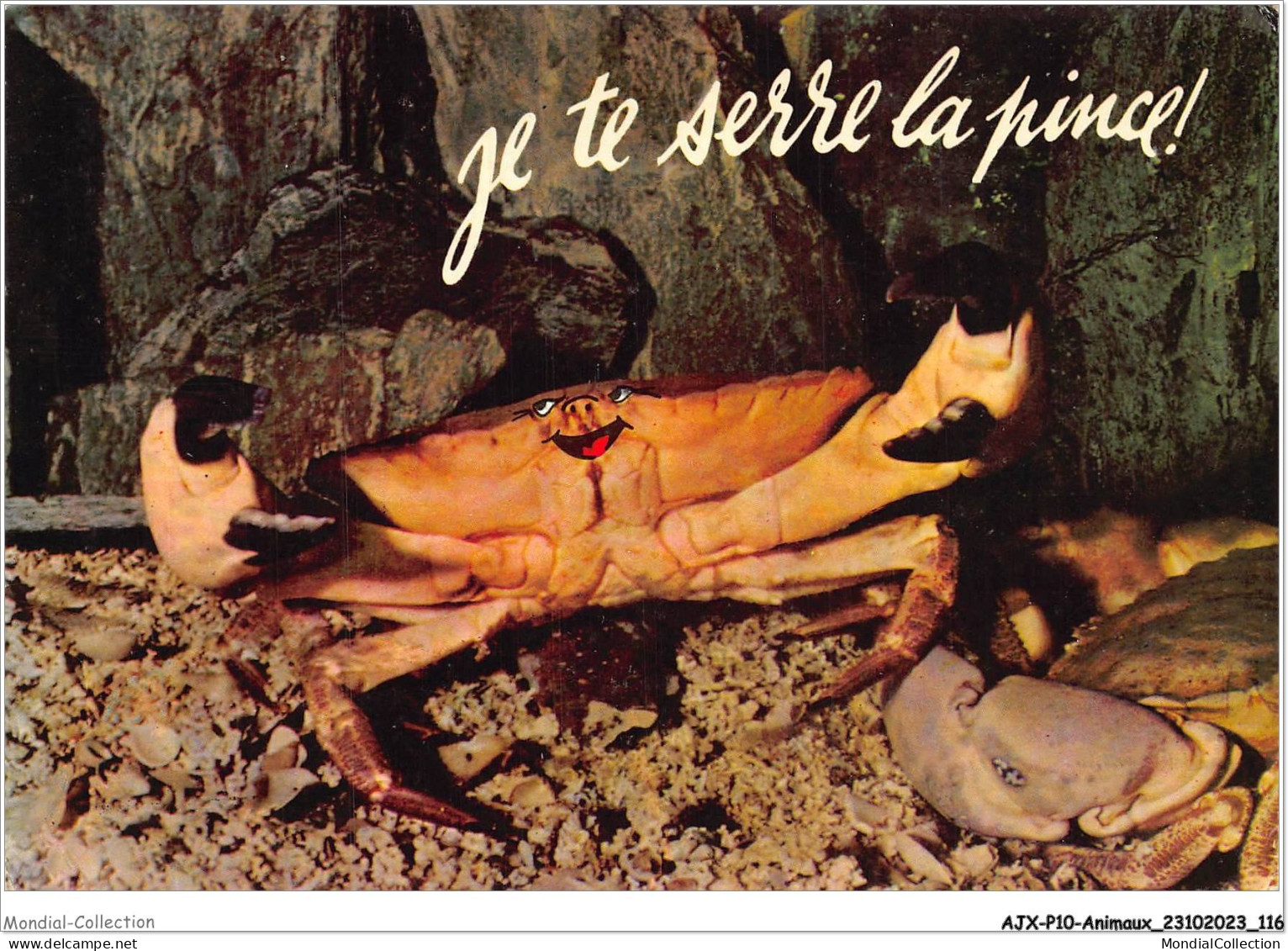 AJXP10-1032 - ANIMAUX - Je Te Serre La Pince - Fische Und Schaltiere