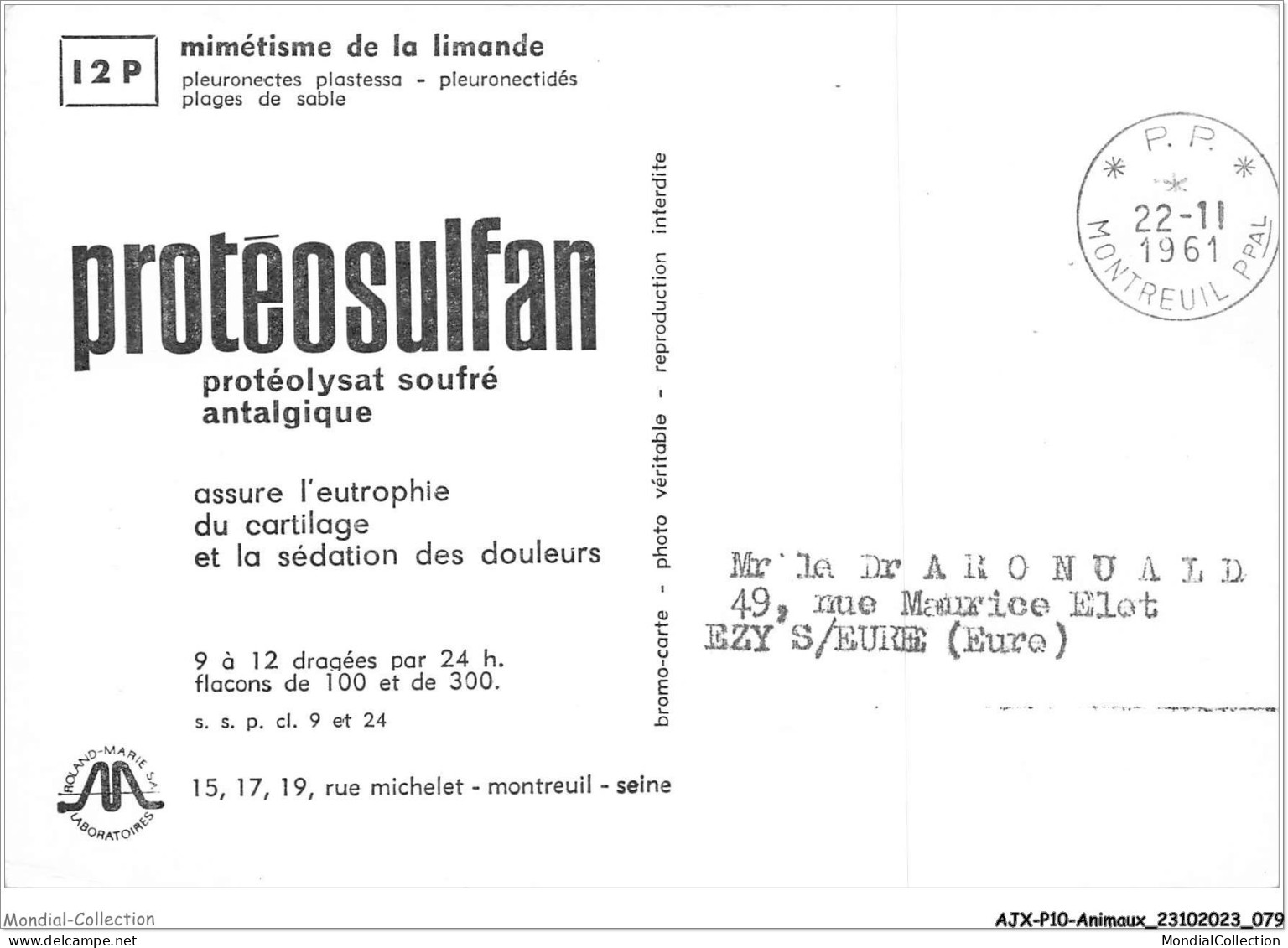 AJXP10-1013 - ANIMAUX - MIMETISME DE LA LIMANDE - Poissons Et Crustacés
