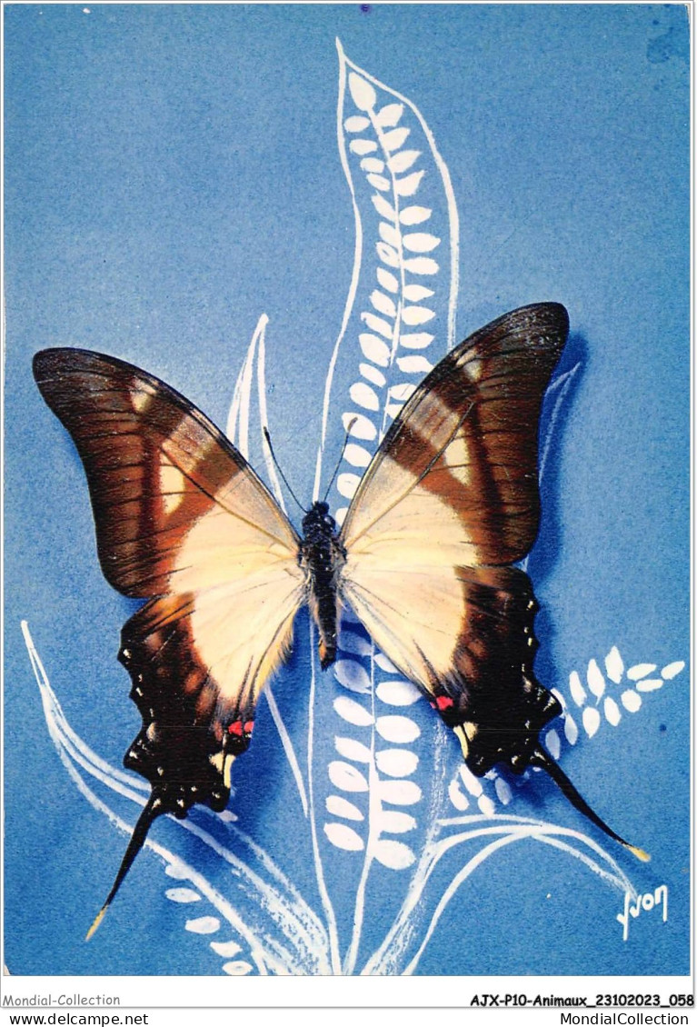 AJXP10-1003 - ANIMAUX - PAPILLONS EXOTIQUES - Papilio Hippodamus - Vlinders