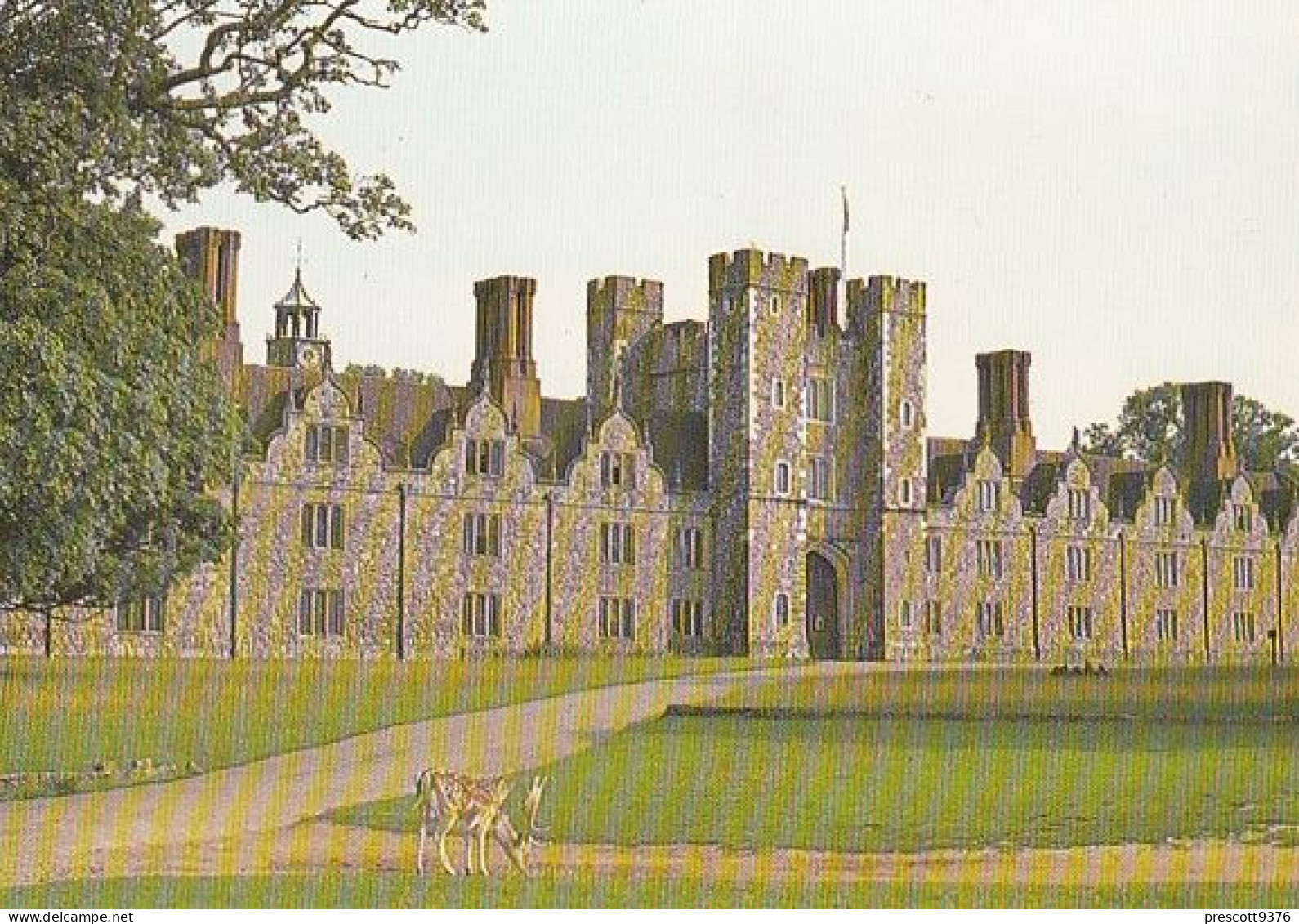 Knole  - Kent - , UK   -   Unused Postcard   - K1 - Dover