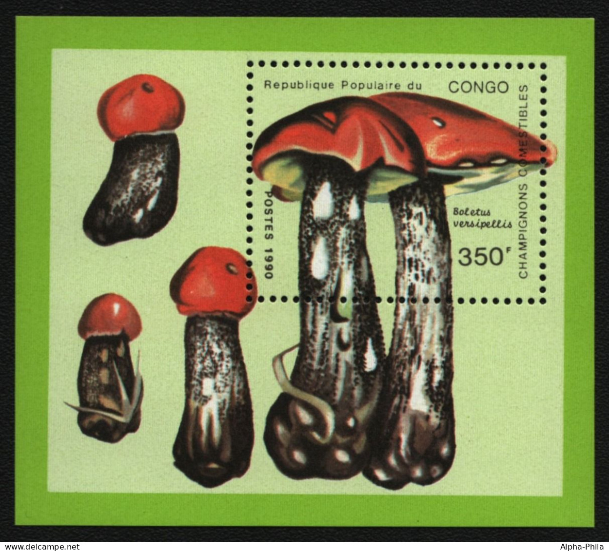 Kongo-Brazzaville 1991 - Mi-Nr. Block 53 ** - MNH - Pilze / Mushrooms - Neufs