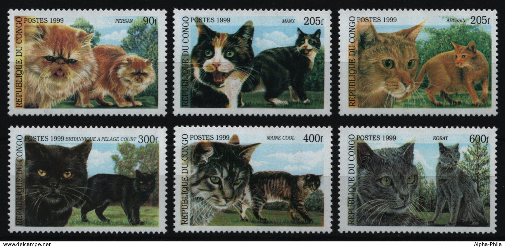 Kongo-Brazzaville 1999 - Mi-Nr. 1677-1682 ** - MNH - Katzen / Cats - Mint/hinged