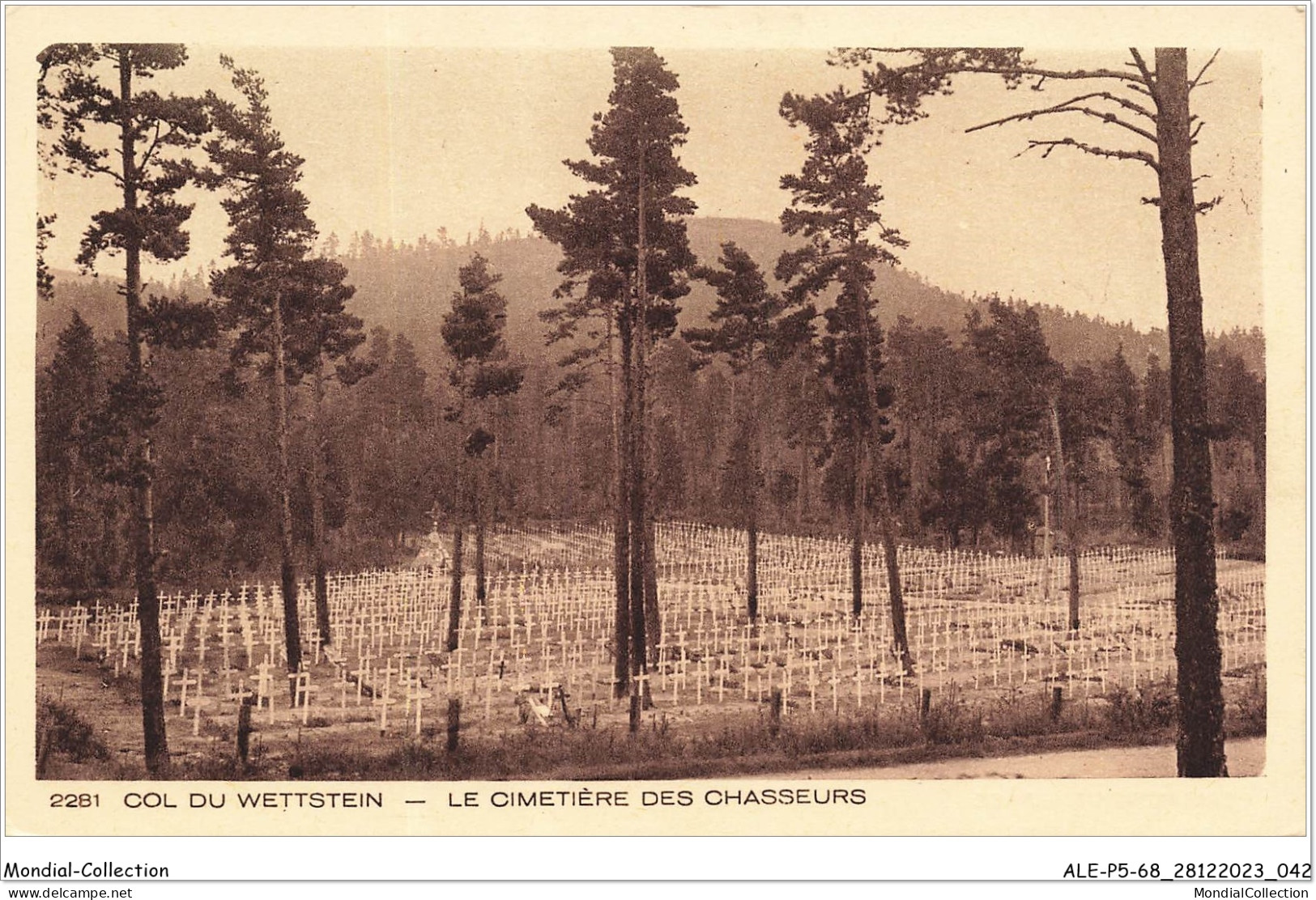ALE1P5-68-0422 - COL DU WETTSTEIN - Le Cimetière Des Chasseurs - Orbey